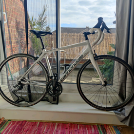 cannondale synapse 51cm